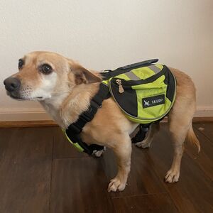 Tailup Dog Backpack Safety Green Saddle Bags Hiking Backpacking Sz S Unused